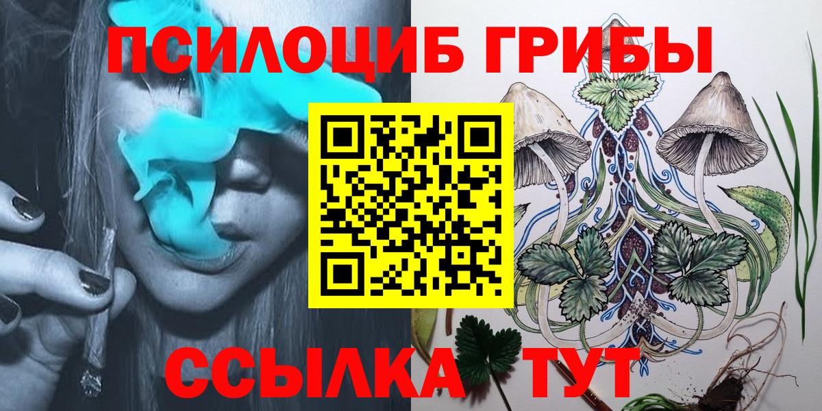 как найти   Вход с VPN  Хасавюрт  Псилоцибиновые грибы прущие грибы 