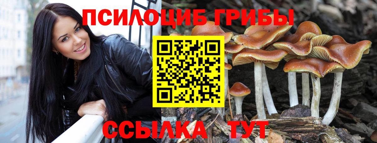 Галлюциногенные грибы мицелий Хасавюрт
